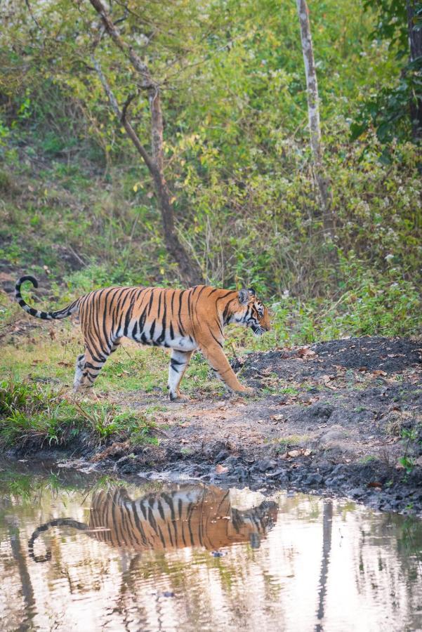 Kaav Safari Lodge, Kabini Begūr 외부 사진