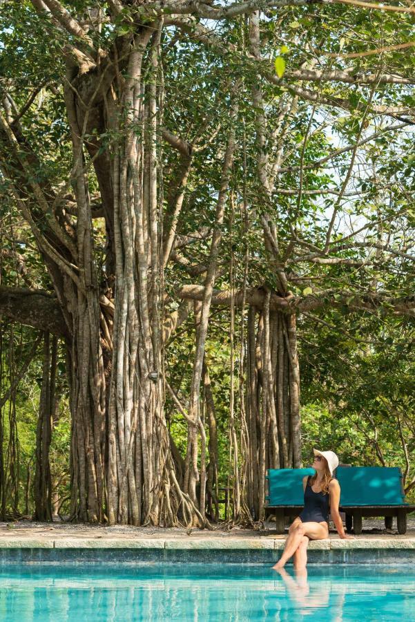 Kaav Safari Lodge, Kabini Begūr 외부 사진
