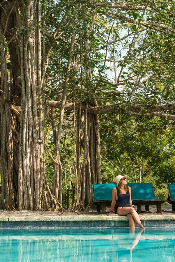 Kaav Safari Lodge, Kabini Begūr 외부 사진