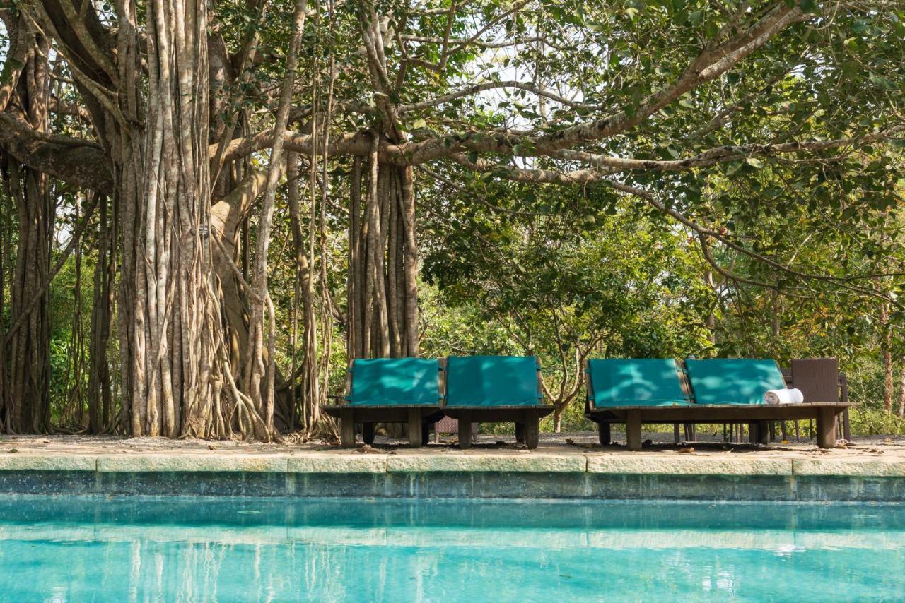 Kaav Safari Lodge, Kabini Begūr 외부 사진