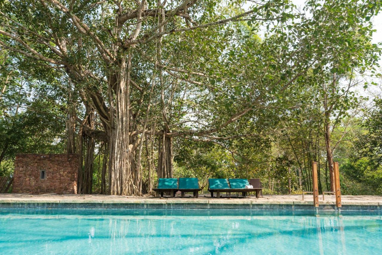 Kaav Safari Lodge, Kabini Begūr 외부 사진