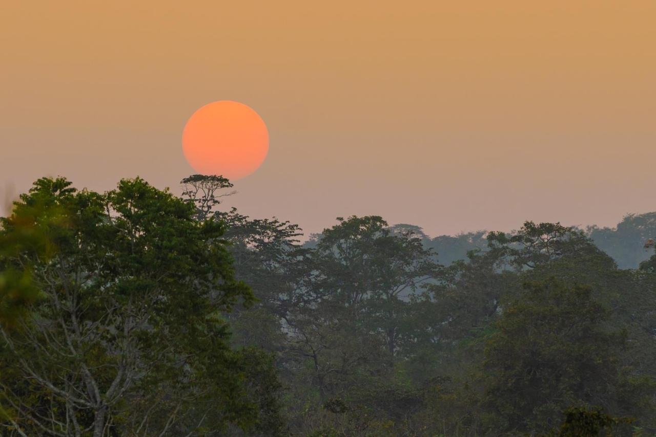 Kaav Safari Lodge, Kabini Begūr 외부 사진